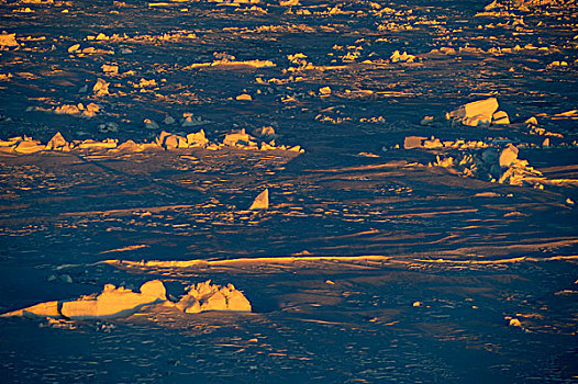 南极,威德尔海,隆起,海冰