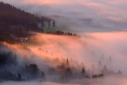 地面,雾,日出,风景,陆地,上巴伐利亚,巴伐利亚,德国,欧洲