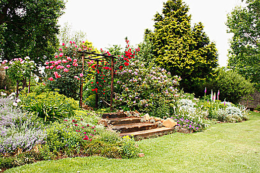 夏天,花园,台阶,花,玫瑰,灌木丛