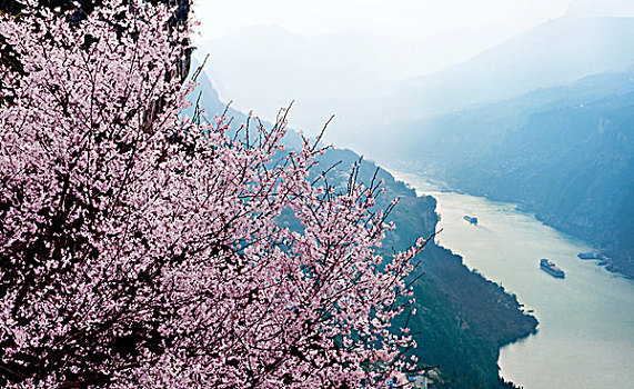 长江三峡西陵峡春天