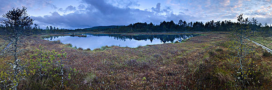 自然保护区,瑞典,欧洲