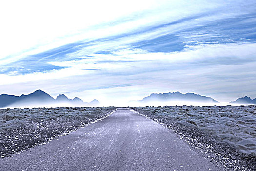 道路,室外