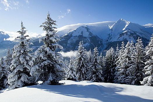 风景,冬天,靠近,埃尔瓦尔德,阿尔卑斯山,提洛尔,奥地利