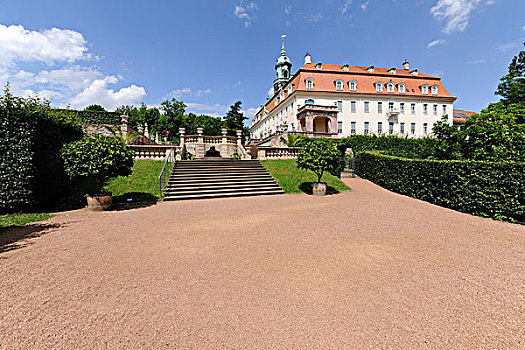 城堡,宫殿,花园,萨克森,德国,欧洲