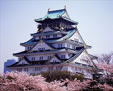 日本,大阪,大阪城,围绕,樱花