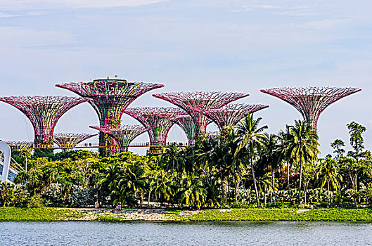 花园,湾,新加坡,印度尼西亚,亚洲