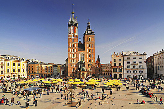 波兰,克拉科夫,市场,教堂