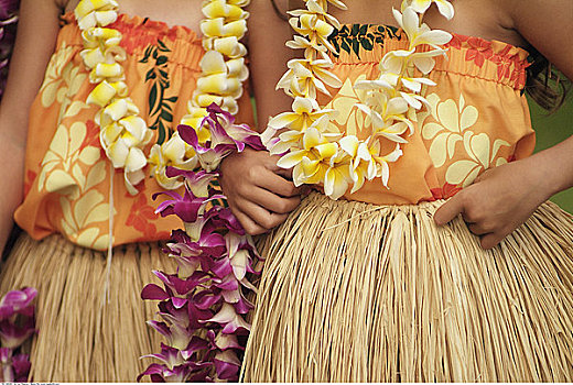 草裙舞,瓦胡岛,夏威夷