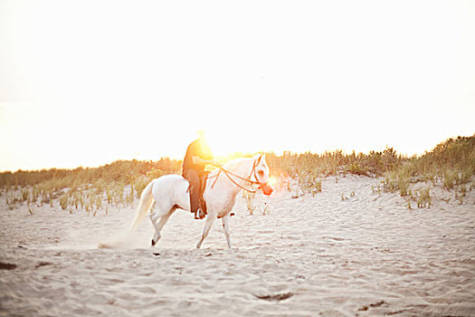 人,骑马,海滩