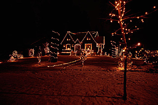 房子,圣诞灯光