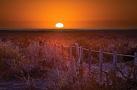 日出,上方,南美大草原,阿根廷,门多萨