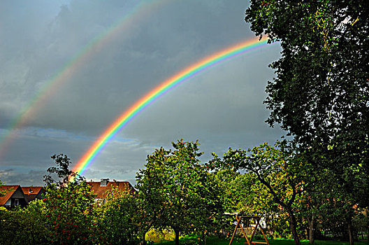 彩虹,上方,果园,下萨克森,德国,欧洲