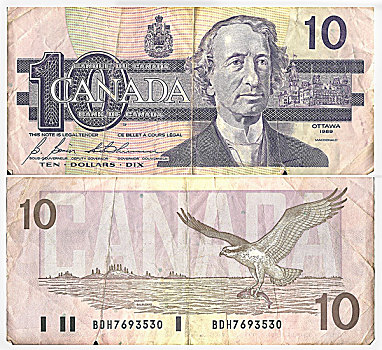 老,货币,正面,后面,加拿大,美元