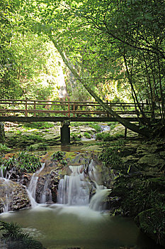 宁陕苍龙峡森林公园