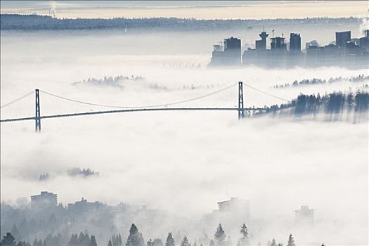 狮门大桥,温哥华,遮盖,雾,不列颠哥伦比亚省,加拿大
