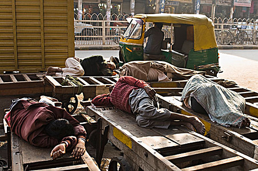 男人,睡觉,推,手推车,德里,印度