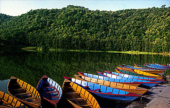 船,待租,旅游,湖,尼泊尔,二月,2005年