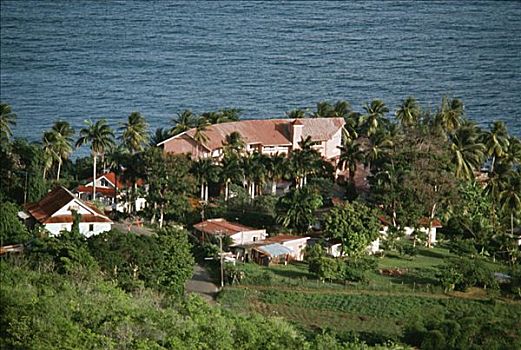 景色,胜地,棕榈树,多巴哥岛,加勒比海