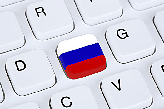 俄罗斯,互联网,电脑