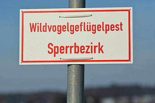 警告标识,野鸟,禽流感,限制区,萨克森,德国,欧洲