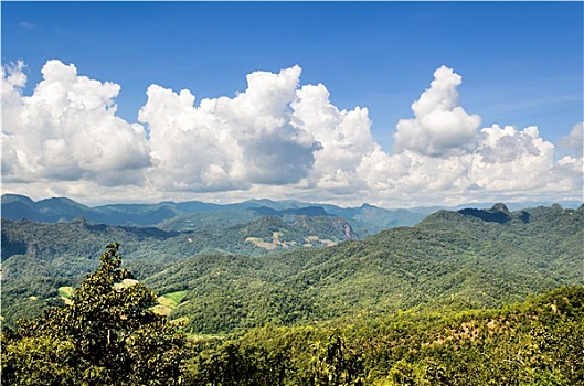 风景,高,山脉