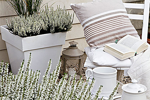 盆栽,白色,石南花,木椅,平台