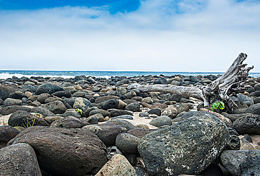 巨大,鹅卵石,海滩,湾,岛屿,莫洛凯岛,夏威夷