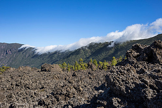 火山岩,石头,自然保护区,后面,云,瀑布,帕尔玛,加纳利群岛,西班牙