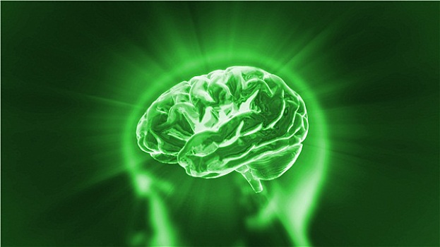 大脑,绿色