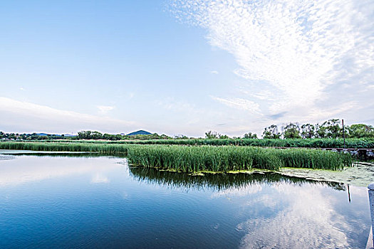 山东淄博太公湖水利风景区景观