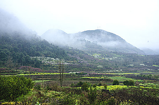 雾色田园