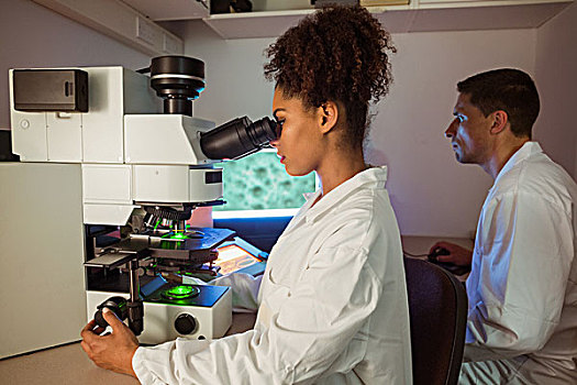 科学,学生,工作,实验室,一个,看穿,显微镜