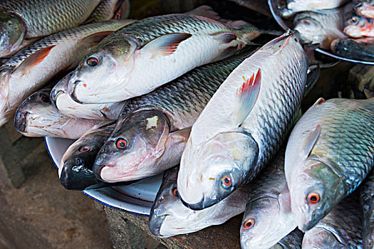 缅甸,蒲甘,鱼,出售,市场