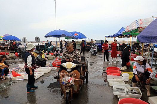 市民冒雨抢,鲜,渔码头变身,海上街市,真热闹