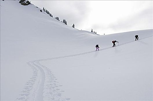 边远地区,滑雪者,不列颠哥伦比亚省,加拿大