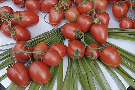 西红柿,市场货摊,法国