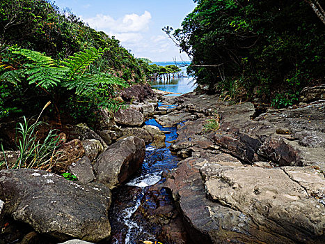 河,岛屿,冲绳,日本