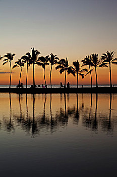 椰树,树,剪影,日落,上方,鱼,水塘,阿纳耶霍玛鲁湾,湾,南,柯哈拉,瓦克拉,夏威夷,美国