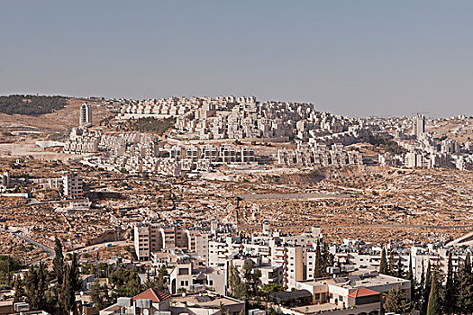 犹太,山顶,住宅区,伯利恒,约旦河西岸,巴勒斯坦,西亚