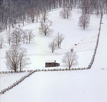 高地,小屋,围栏,积雪,风景,弗吉尼亚,美国