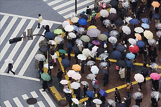 行人,伞,东京,日本