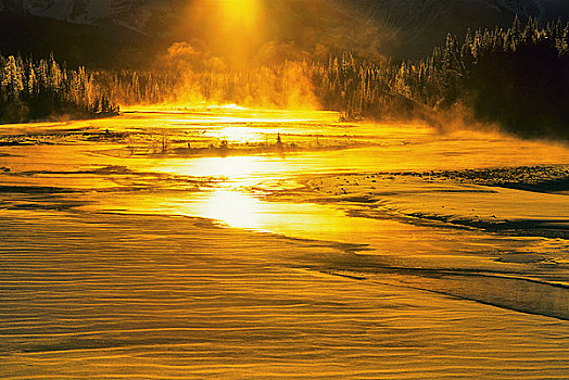 河,通过,树林,日出,阿萨巴斯卡河,碧玉国家公园,艾伯塔省,加拿大
