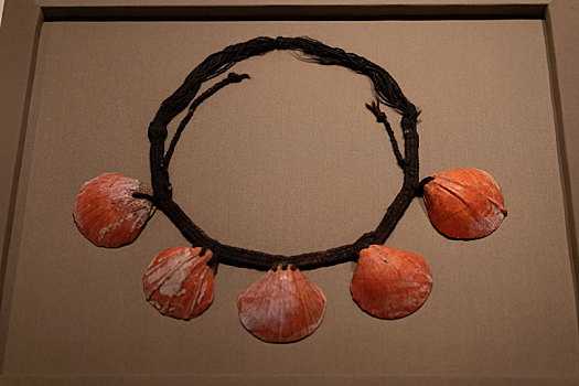 秘鲁安东尼尼教育博物馆纳斯卡文化人发贝壳项链