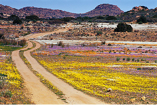 乡间小路,高原,纳马夸兰,南非