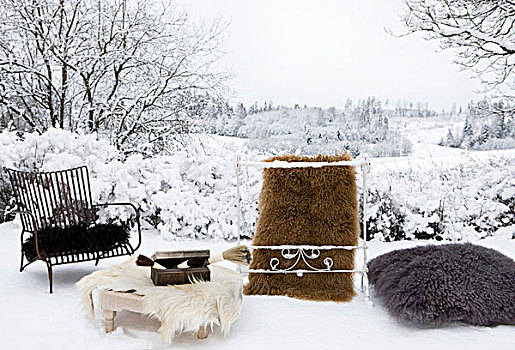 多样,动物皮,椅子,桌子,垫子,地毯,雪中