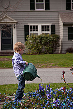 男孩,浇水,花,正面,院子,花园,植物