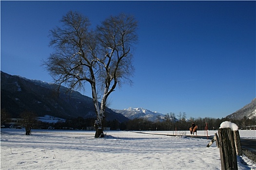 冬天,库尔,瑞士