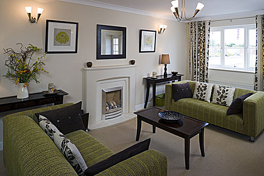 绿色,沙发,客厅,郊区,房子,诺丁汉郡,英国
