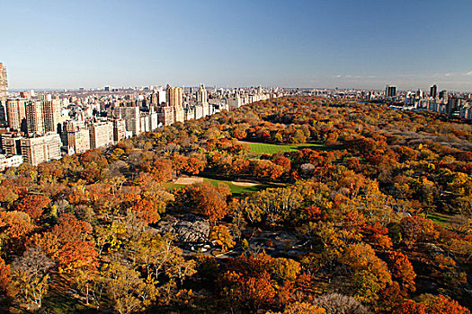 航拍,中央公园,看,城区,秋天