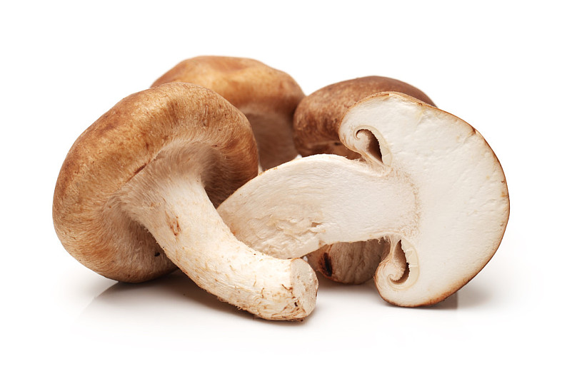 香菇图片_香菇高清图片_全景视觉